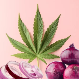 Lee más sobre el artículo Descubre los que los extractos de Cebolla y Cannabis pueden hacer por tu cabello!